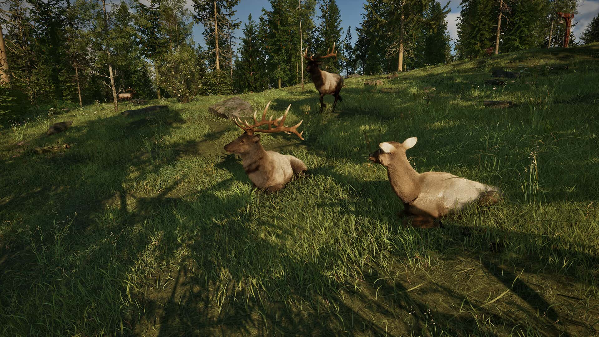护林员之路 国家公园模拟器 Rangers Path National Park Simulator 中文版